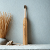 ZENTAND Bamboo Electric Toothbrush
